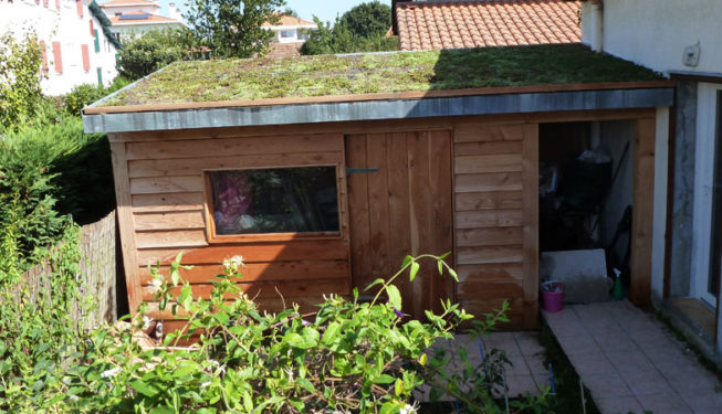 Cabane toit végétalisé