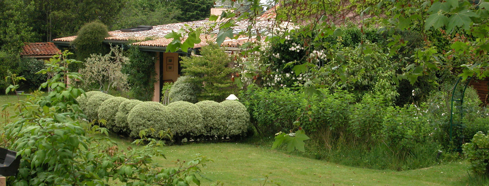 Création d'espaces verts
& Aménagement de tous types de jardin